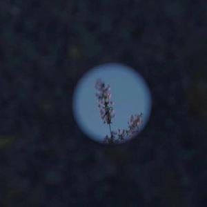 芒果视频污app草逼91
